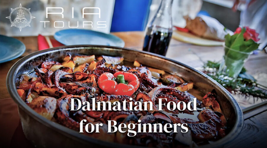 Dalmatian Food for Beginners